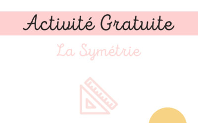 Activité Pratique – La Symétrie