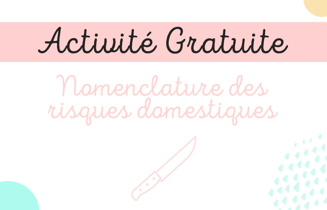 Activité Pratique – Nomenclature des risques domestiques