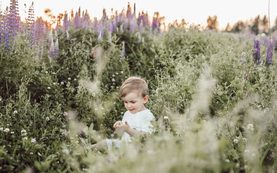 3 activités d’éveil à la nature