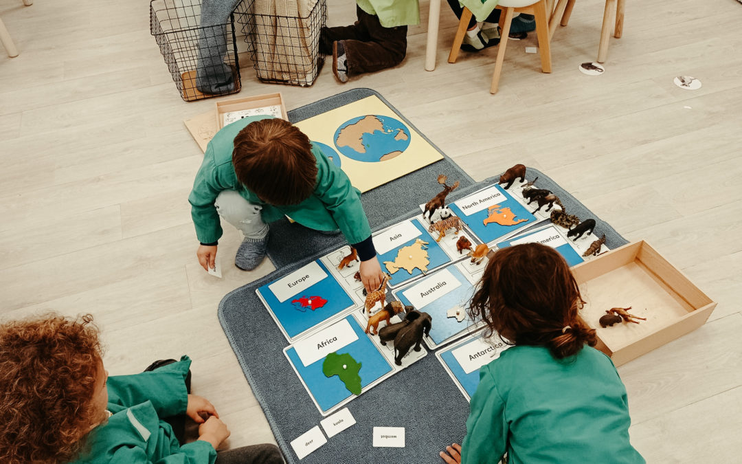 Pédagogie Montessori : quels résultats ?