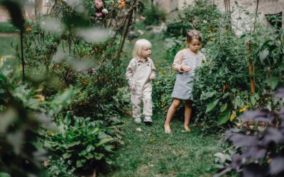 Deux activités pour sensibiliser l’enfant au respect de la nature